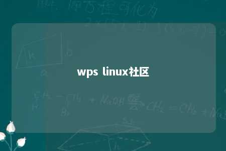 wps linux社区 