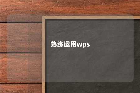 熟练运用wps 