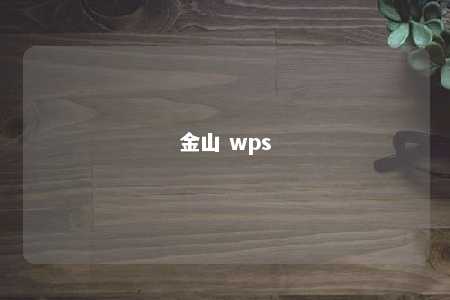 金山 wps