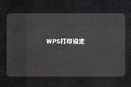 WPS打印设定 