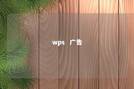 wps  广告