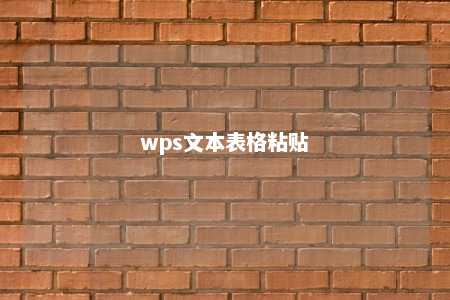 wps文本表格粘贴 