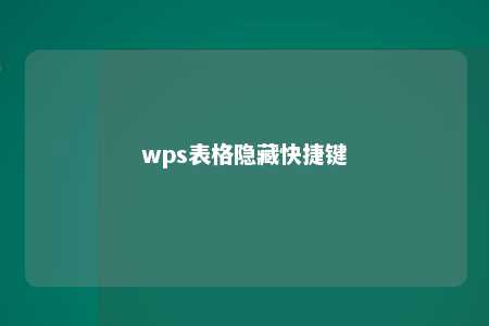 wps表格隐藏快捷键 