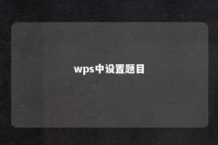 wps中设置题目