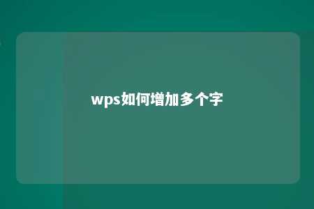 wps如何增加多个字 