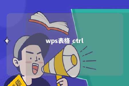 wps表格 ctrl 