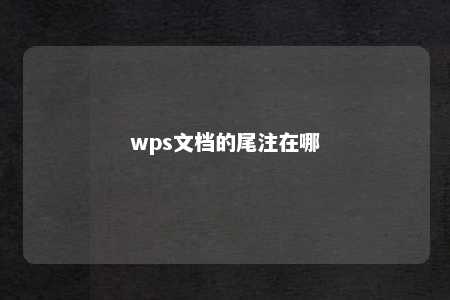 wps文档的尾注在哪 