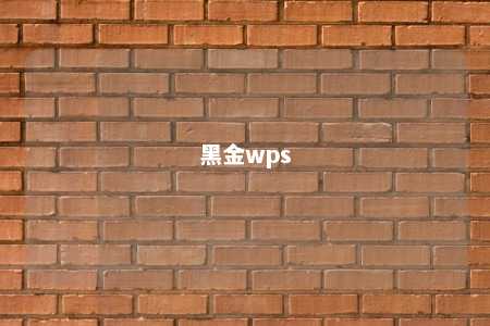 黑金wps