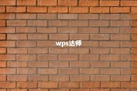 wps达师 