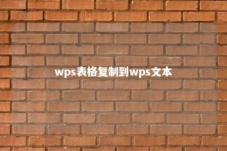 wps表格复制到wps文本