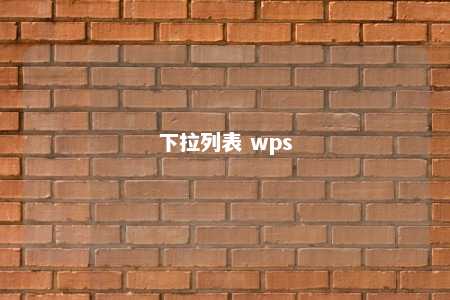 下拉列表 wps 