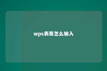 wps表哥怎么输入 