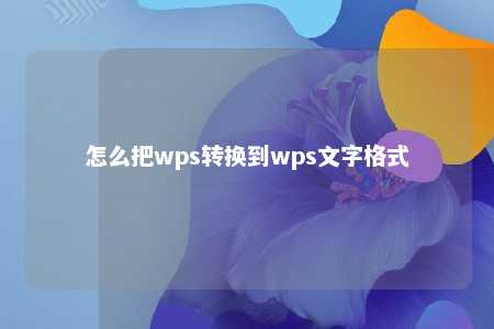 怎么把wps转换到wps文字格式 