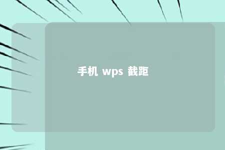 手机 wps 截距