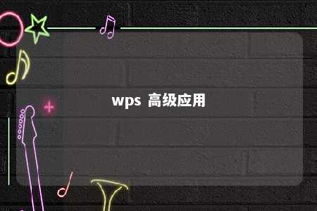 wps 高级应用