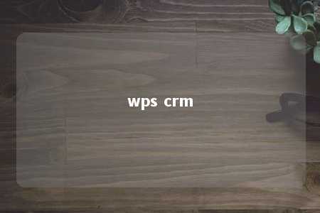 wps crm