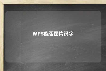 WPS能否图片识字 