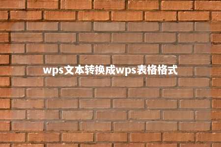 wps文本转换成wps表格格式 