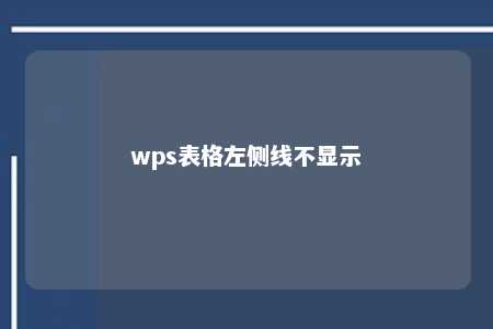 wps表格左侧线不显示 