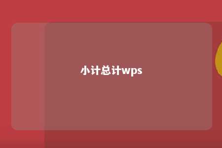 小计总计wps 