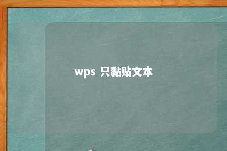 wps 只黏贴文本 