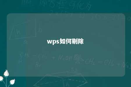 wps如何剔除