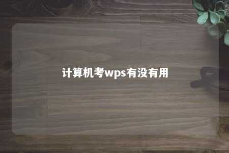 计算机考wps有没有用