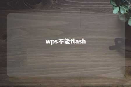 wps不能flash 