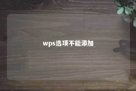 wps选项不能添加 