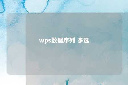 wps数据序列 多选