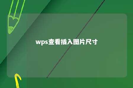 wps查看插入图片尺寸 