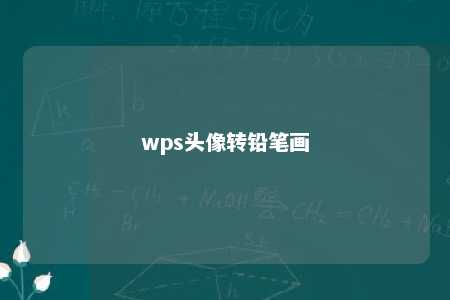 wps头像转铅笔画