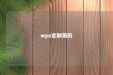 wps定制简历