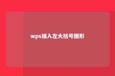 wps插入左大括号图形 