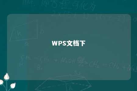 WPS文档下 