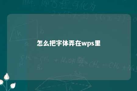 怎么把字体弄在wps里 