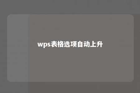 wps表格选项自动上升