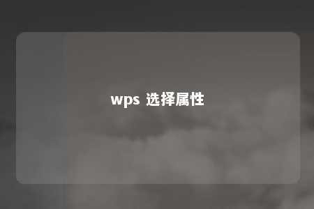 wps 选择属性 