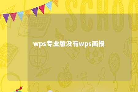 wps专业版没有wps画报