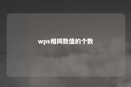 wps相同数值的个数 