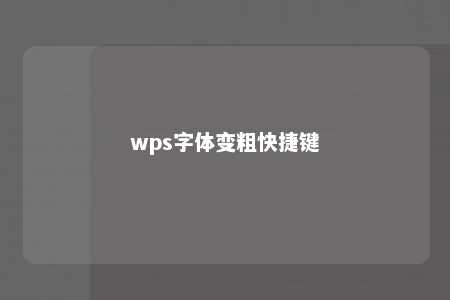 wps字体变粗快捷键