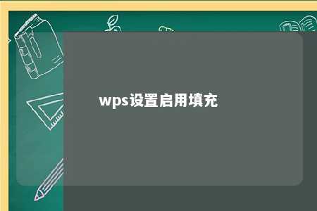 wps设置启用填充 