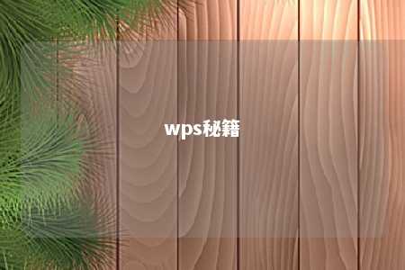 wps秘籍 