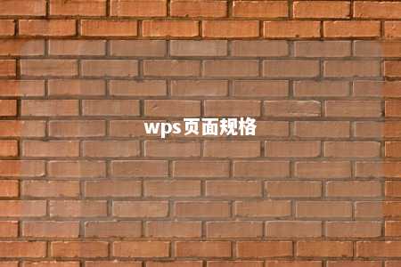 wps页面规格 