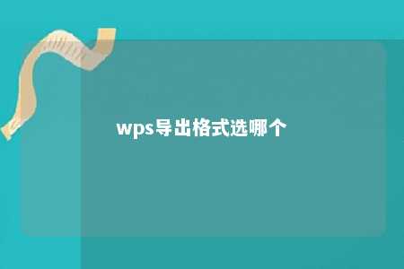 wps导出格式选哪个 