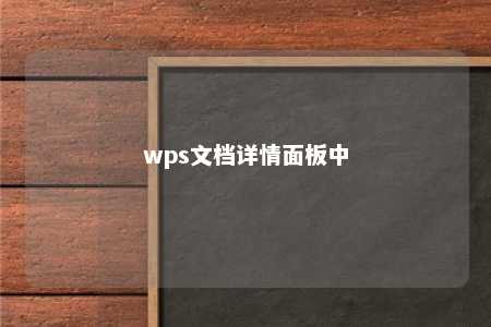 wps文档详情面板中