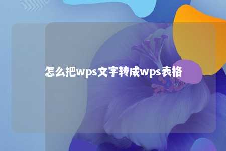 怎么把wps文字转成wps表格