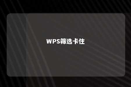 WPS筛选卡住