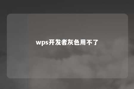 wps开发者灰色用不了 