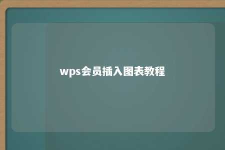 wps会员插入图表教程 